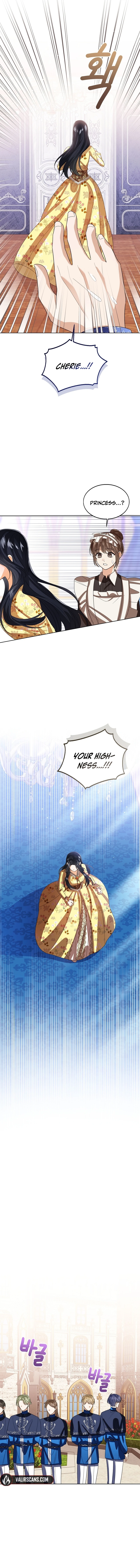 75008190 800 8965 779446